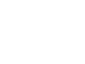 logo web